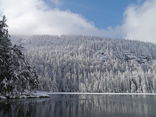 Winter am Grossen Arbersee mit Seewand