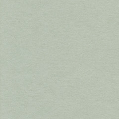 Light grey paper texture background with space for text 