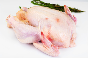 The Split Carcass of Raw Chicken. Isolated on White