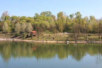 laghetto nel Parco degli Aironi - Gerenzano