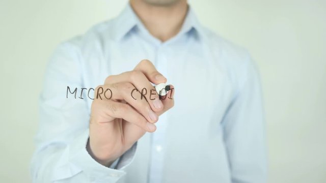 Micro Credit System 