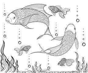 Hand drawn ink pattern. Coloring book for adult