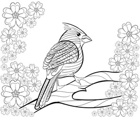 Hand drawn ink pattern. Coloring book for adult