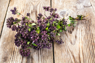 Flowers and Stems of Thyme