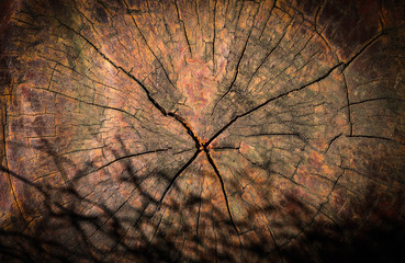 wood texture old,Dark Tone