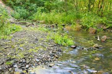 Rocky shore in a small forest stream