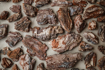 Obraz premium Tree bark pattern on the craft paper. Macro photo.