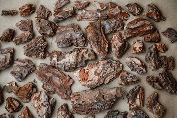 Tree bark pattern on the craft paper. Macro photo.