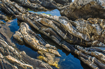 Fototapeta na wymiar sea water of the mediterranean trapped between the rocks on the shore of Genoa Nervi in Italy