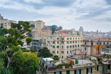 Fototapeta na wymiar View over the life happening on the rooftops in the center of Genoa, Italy, and into the distance with the city vista and its many buildings, old and new. Framed with a green tree and cloudy sky
