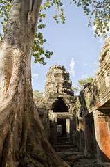 Obraz premium Ancient Ruins of Angkor Wat