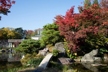 富山城址公園の紅葉