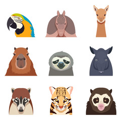 Set of south america animals flat icons