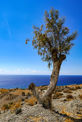 Lentas, Kreta/Griechenland