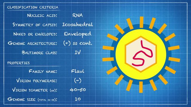 Flaviviridae - Virus classification criteria and properties