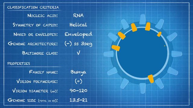 Bunyaviridae - Virus classification criteria and properties