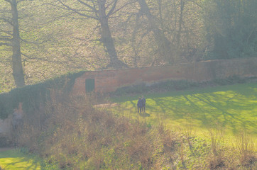 grounds and estate of upton house stately home warwickshire engl