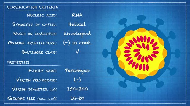  Paramyxoviridae - Virus classification criteria and properties