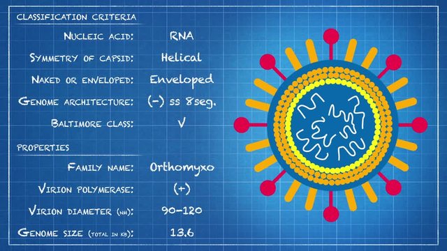 Orthomyxoviridae - Virus classification criteria and properties