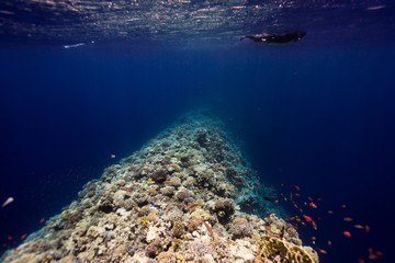 the Dahab blue hole border