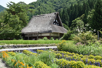 Fototapeta na wymiar 白川郷の古寺