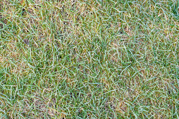Morning frost on grass, frozen fields in autumn