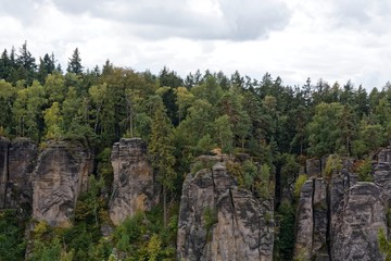 Fototapeta na wymiar sandstone rocks - Prachovske skaly (Prachov Rocks)