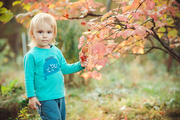 Portrait of little boy in autumn park.
