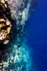 Fototapeta na wymiar descent through the coral ref