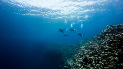 Divers crossing over the Dahab bluehole