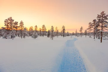 Fotobehang Zonsondergang in de winter besneeuwd bos, prachtig landschap © Taiga