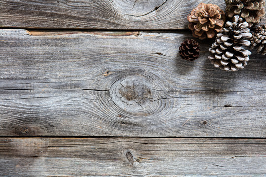 genuine wood and fir cones for natural winter holiday wallpaper