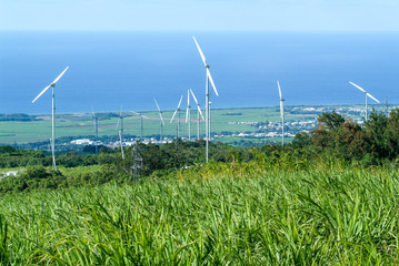 Green meadow with wind turbines generating electricity on La Reu