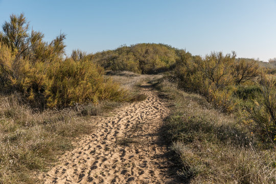 Sentier dans les dunes de la Chaume (Les Sables d'Olonne)