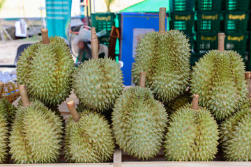 Group of durian in the market