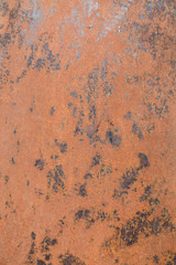 Rost