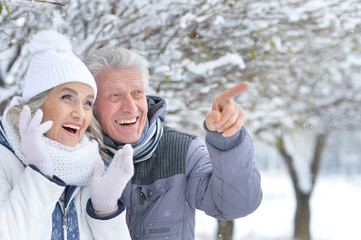 Senior couple in winter park 