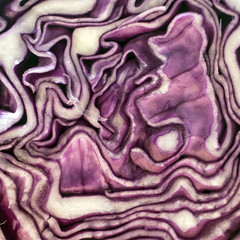 Obraz premium Cabbage