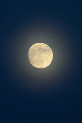 Fototapeta premium Shining full moon closest to earth on 13th November 2016