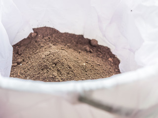 Dry soil in bucket for planting.