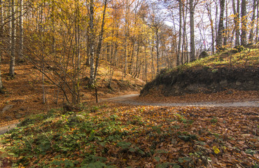 seven lakes,yedi goller