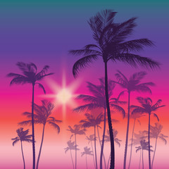 Fototapeta na wymiar Silhouette of palm tree and sunset sky. Vector illustration