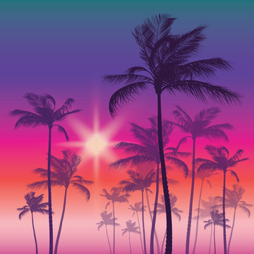 Silhouette of palm tree and sunset sky. Vector illustration