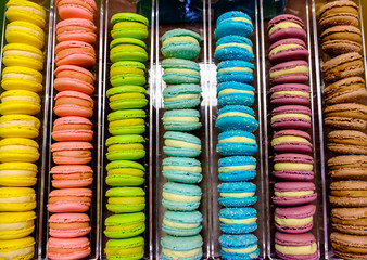 multicolored french macaroon