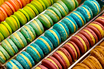 multicolored french macaroon