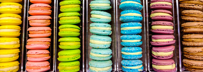 multicolored french macaroon