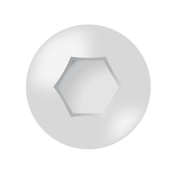 Vector illustration. Cap screws with hexagon convex, matt.