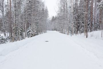 Road in park at winter