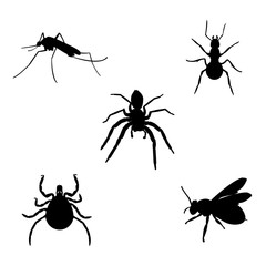 Insect icon set