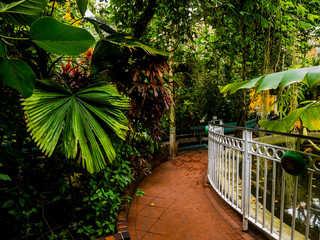 Obraz premium botanical gardens